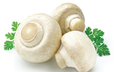 Витамин D (Кальциферол)