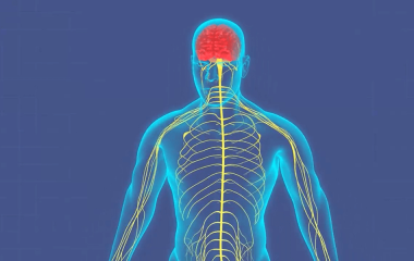 10 шагов к здоровью! Шаг 4